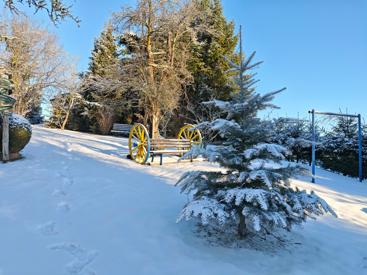 Winterbild 2026 Im Garten mit Schnee