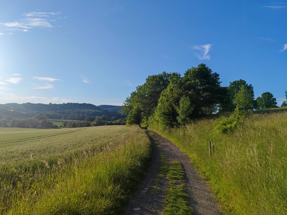 Wanderweg in der Landschaft