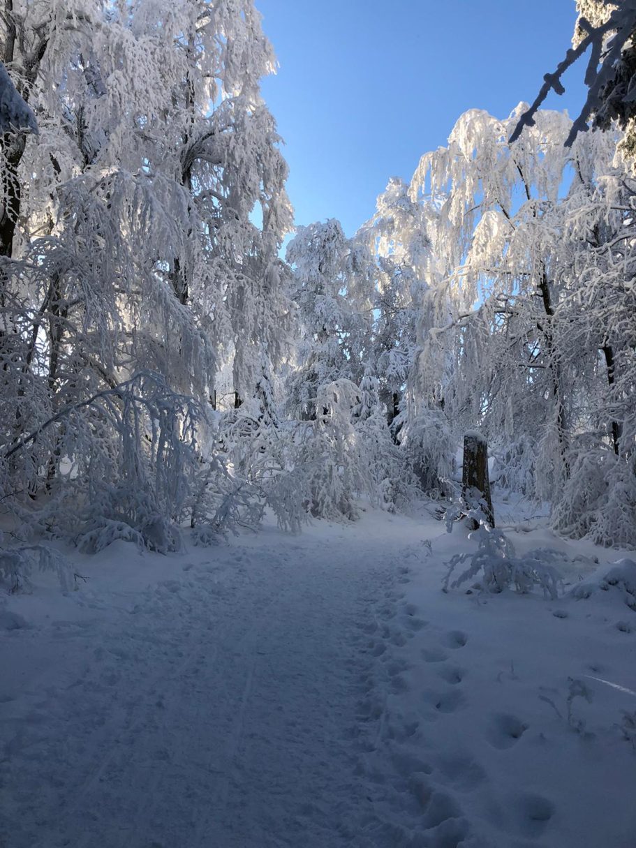 Winter auf dem Inselsberg