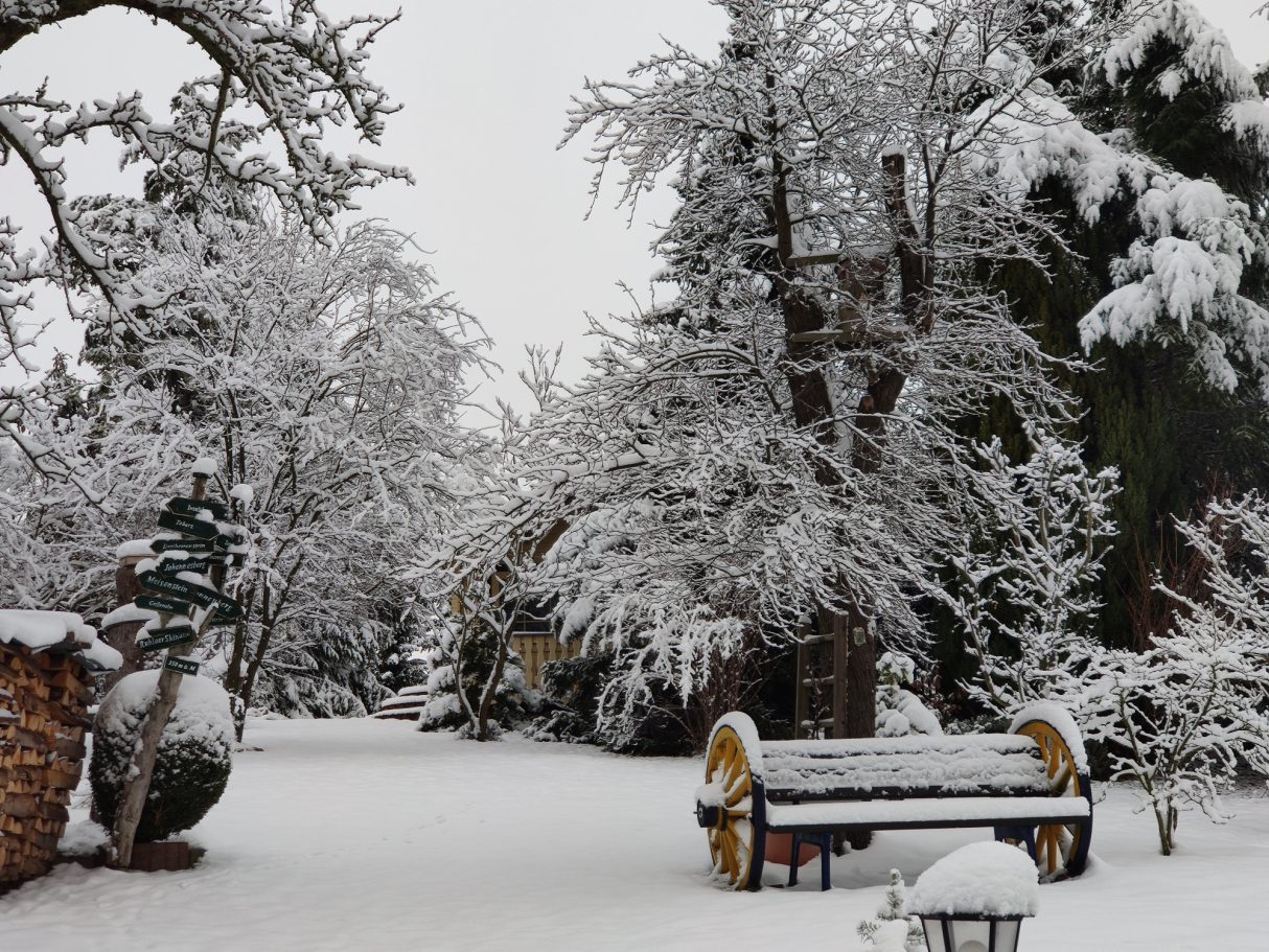Garten im Winter