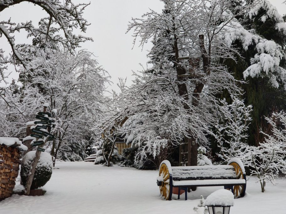 Garten im Winter